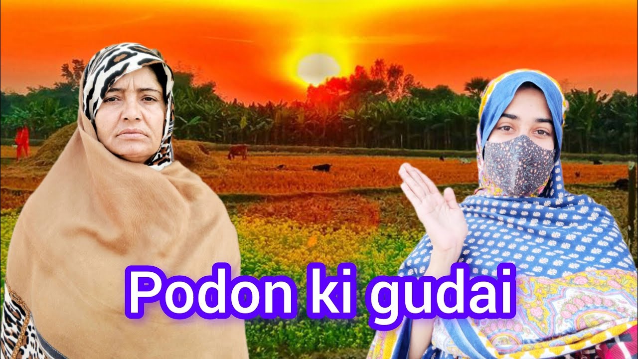 Village Life Vlog | Podon Ki Gudai Safai Aur Desi Biryani Banai 🌾🍲