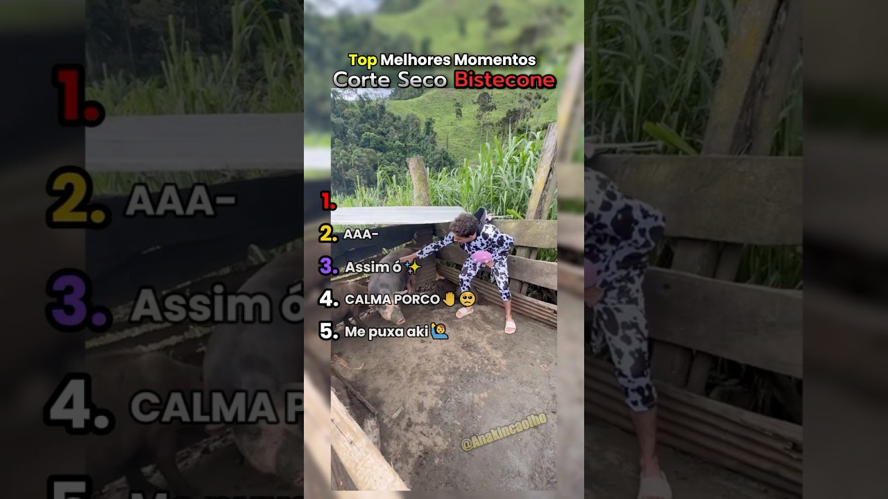 Rankeando Melhores Momentos Corte seco Bisteconee #shorts #bistecone #top5 #ranking #meme