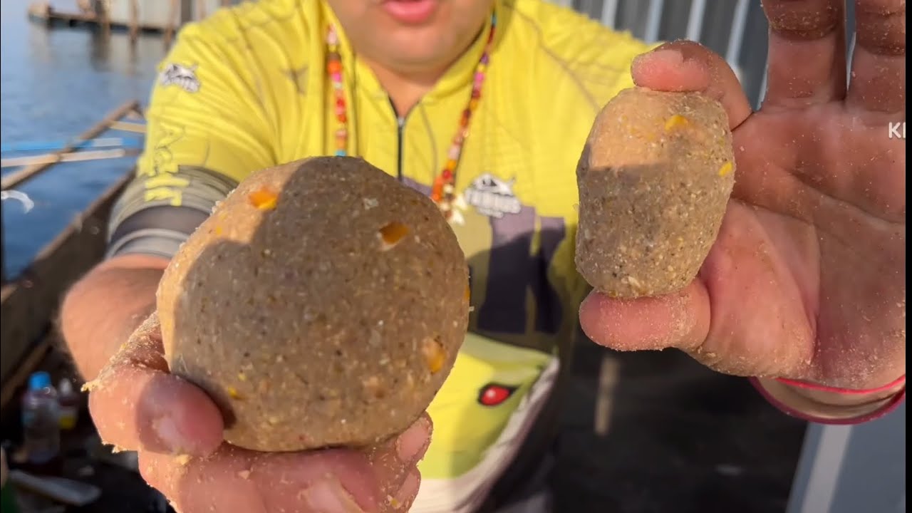 MASSA PRA PIAPARA, PIAUÇU, CURIMBA, PACU CARANHA - A ISCA FICA IGUAL A BOLA DE TRATO