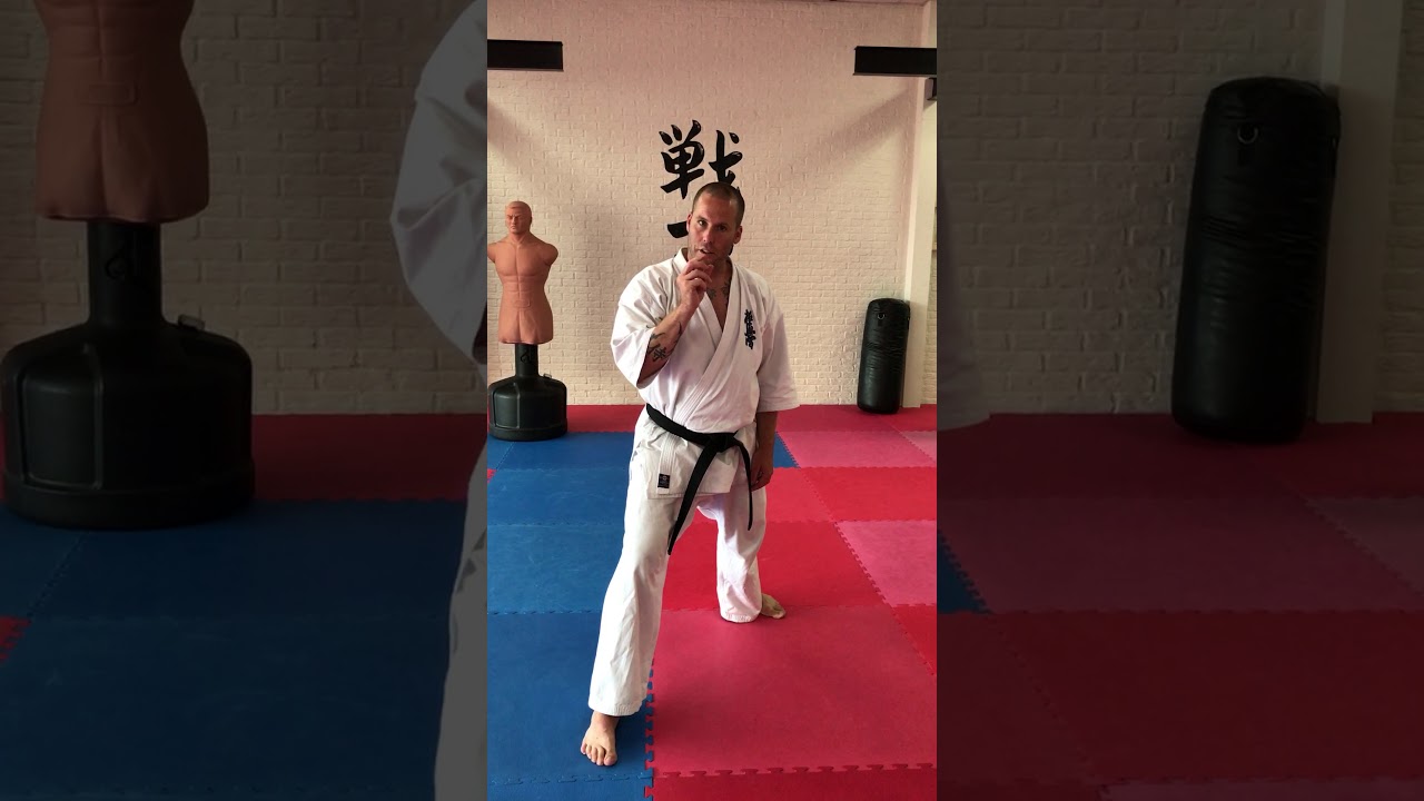 Budokai senshi exameneisen 1e dan Kyokushinkai karate