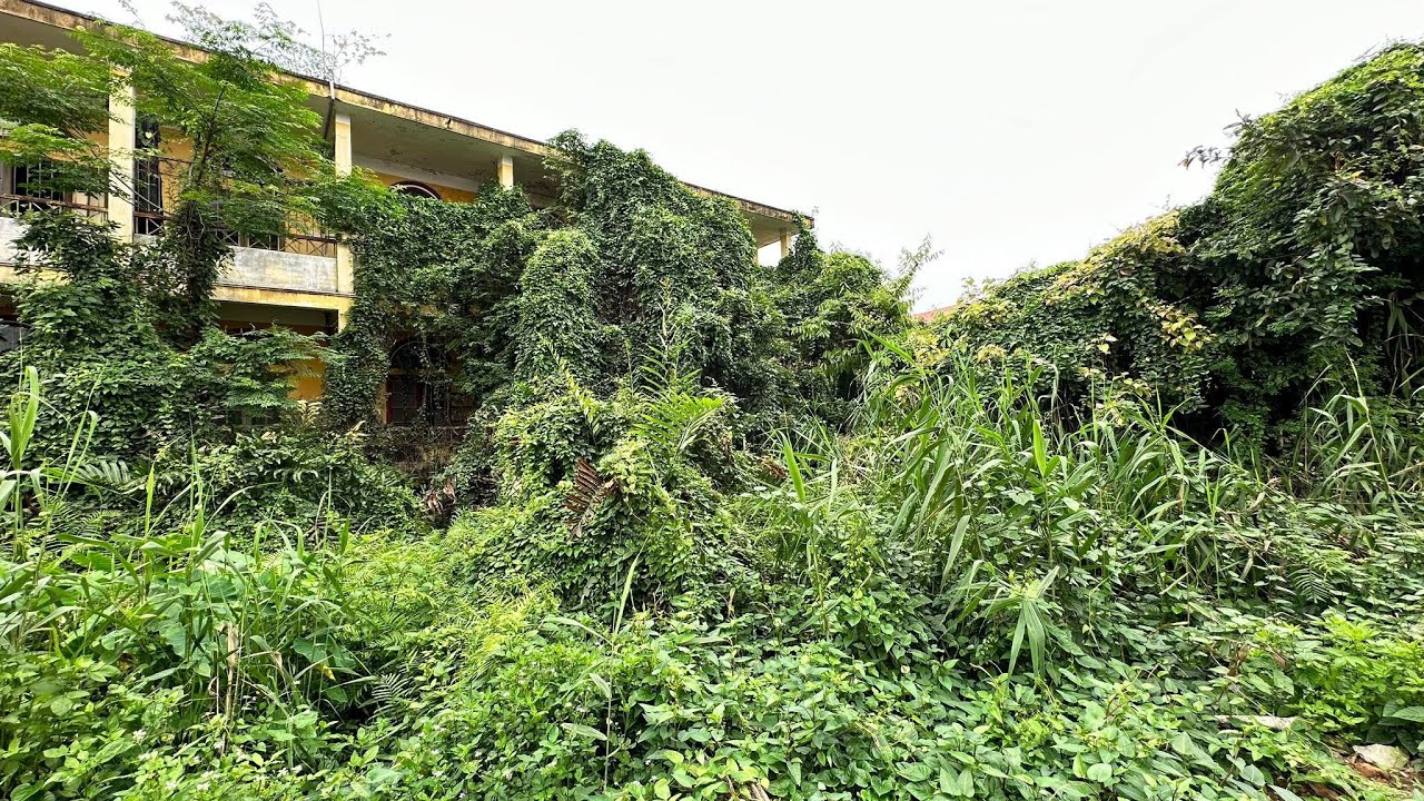 SURPRISE! How The Professionals Cleaned Up and Renovated the School  To Welcome New Students