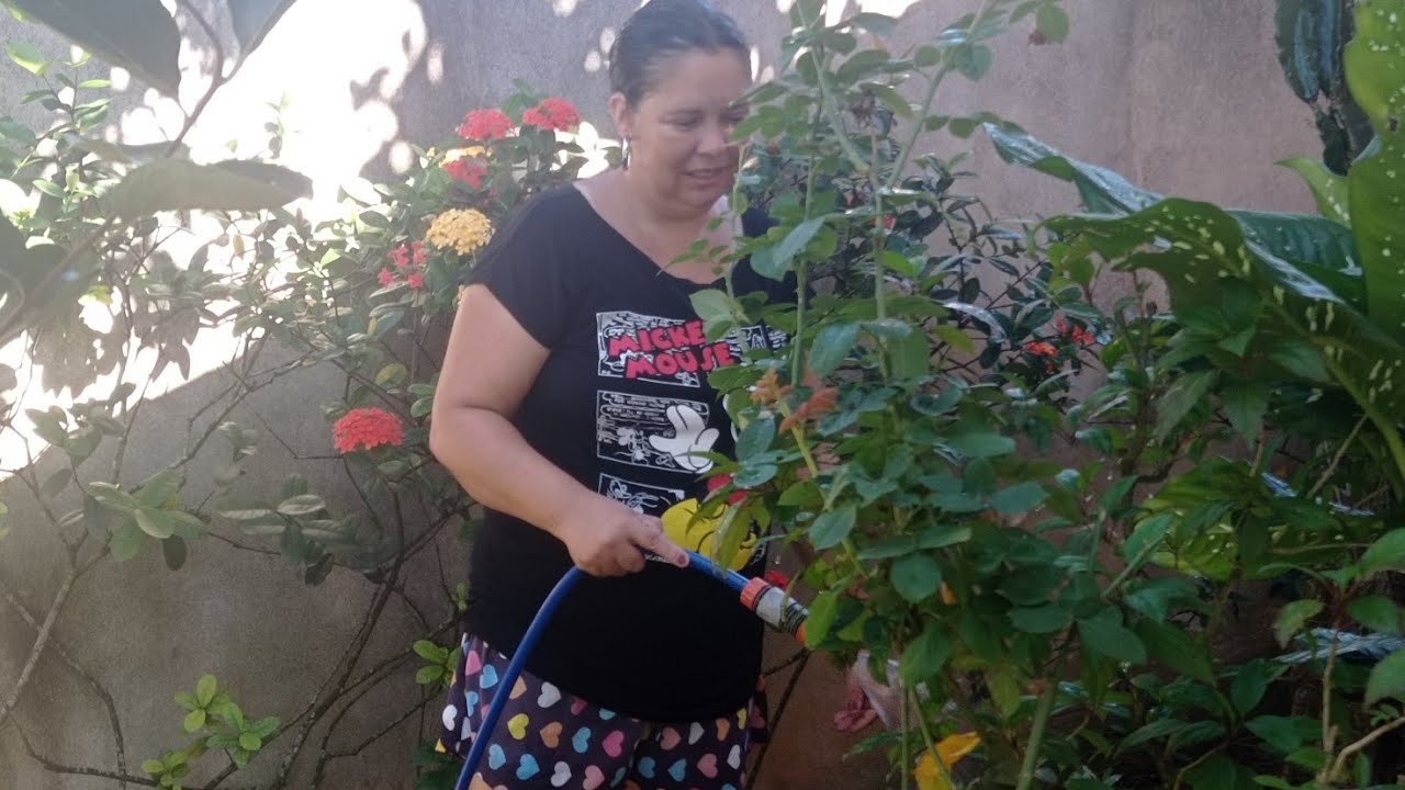 Tá fazendo muito calor aqui em Campos dos Goytacazes regando as plantinhas bem cedinho