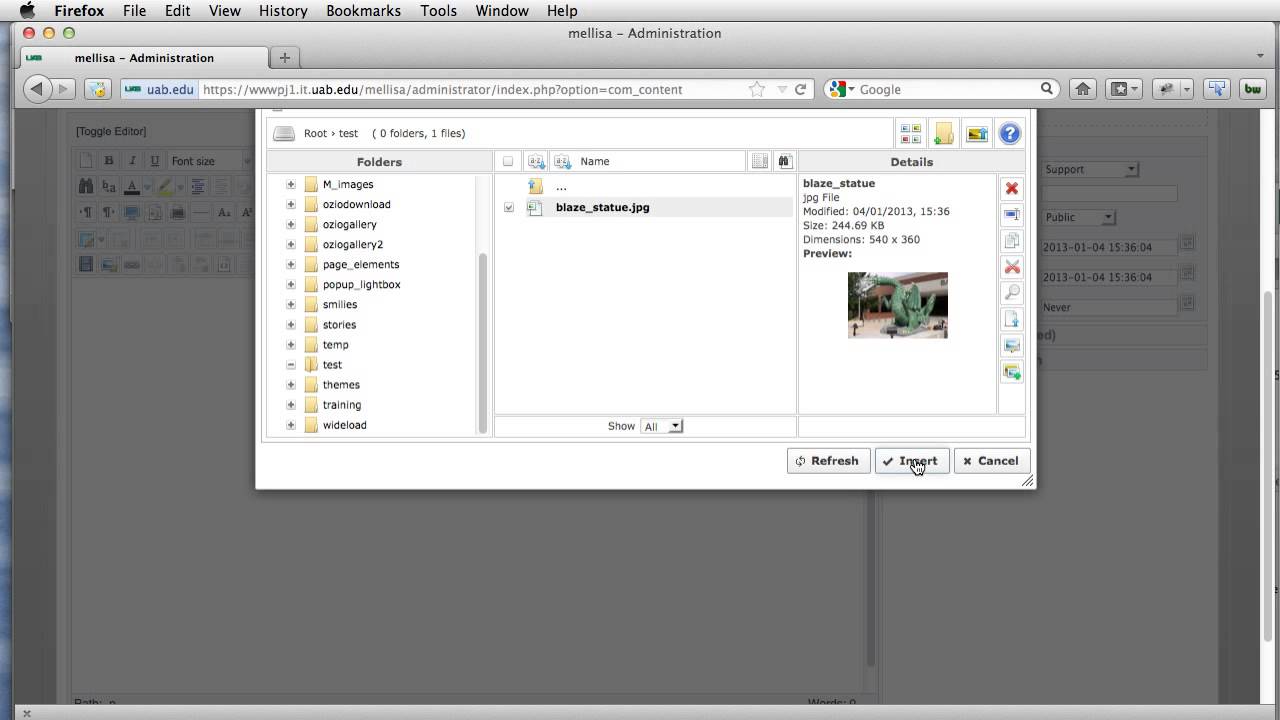 JCE MediaBox Tutorial.mp4