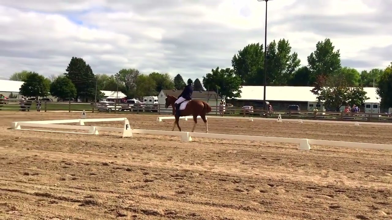 Training Level Dressage Musical Freestyle