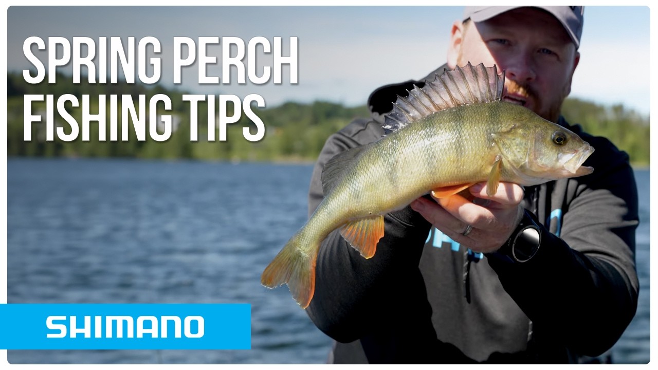 Spring Perch Fishing Tips