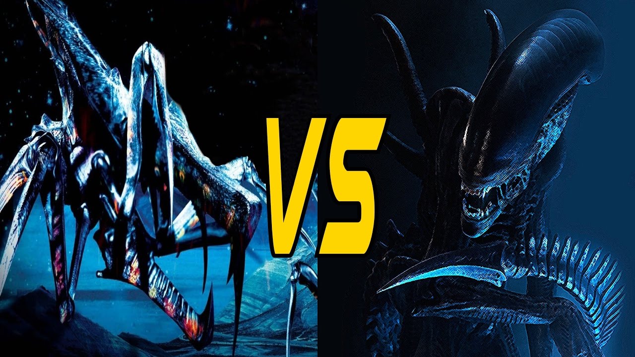 ARÁCNIDOS VS. XENOMORFOS: ¿Cuál Raza Es Más Poderosa? - La Opinión de Mr.Bob