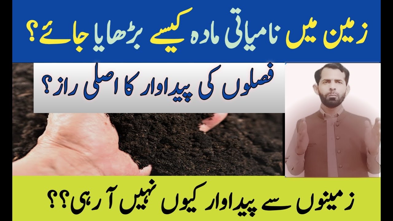 How to Increase Organic Matter for  Soil Health & Crop Productivity? | نامیاتی مادہ پیداوار کا راز 