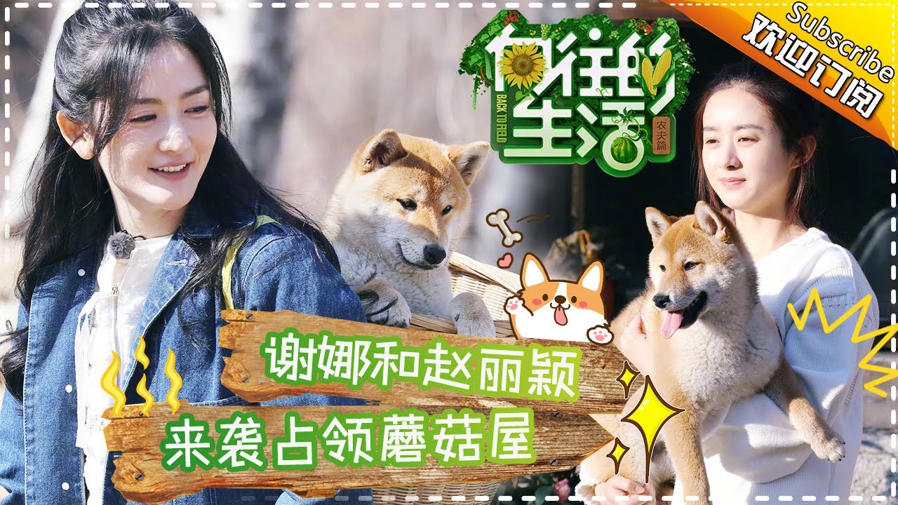 《向往的生活》第13期 赵丽颖放飞自我秒变谐星？调皮捣蛋·孙红雷意外造访！Back to field S1 EP13【芒果TV生活风尚频道】