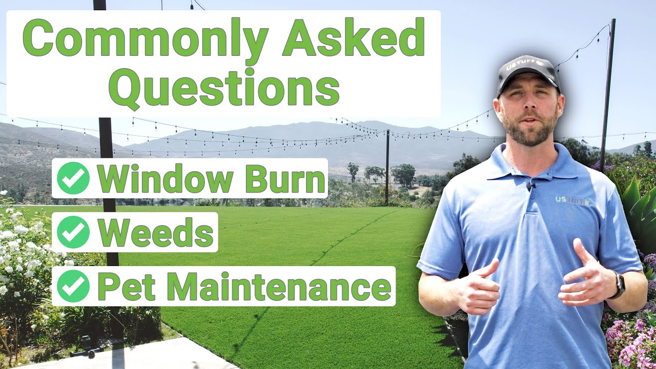 Window Burn, Weeds and Pets. How these can affect your new turf installation.