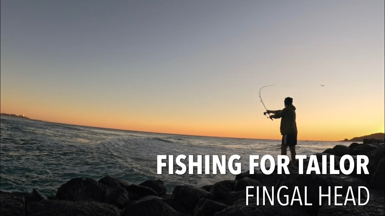 Quick Flick for Tailor at Fingal Head - Gold Coast Fishing