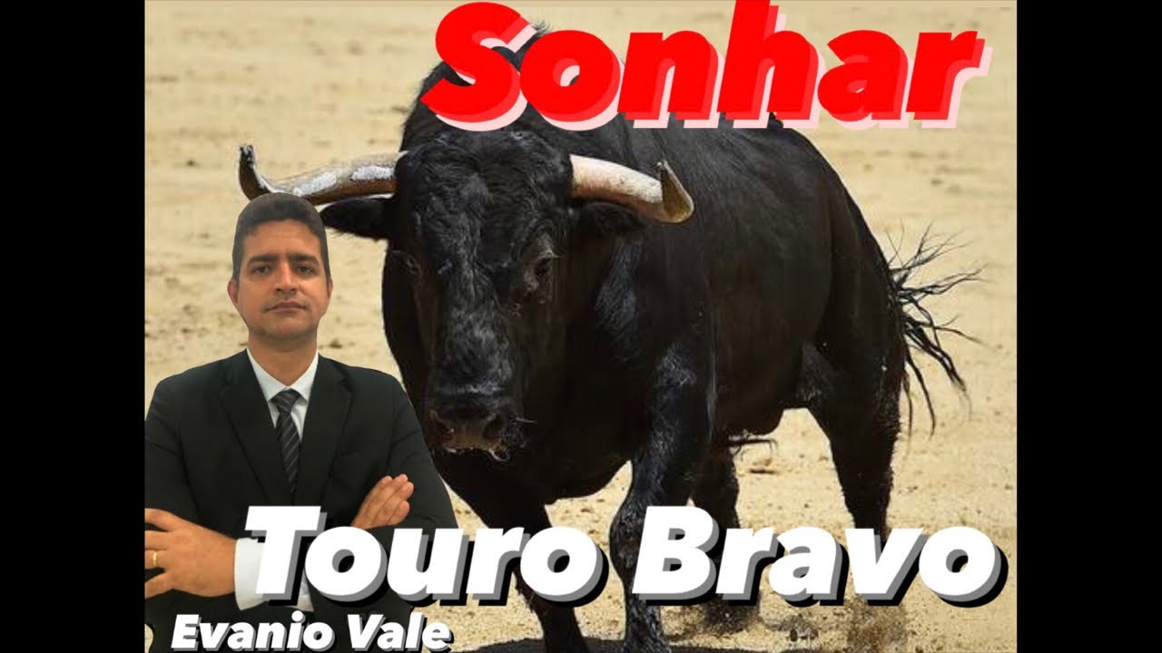 SONHAR COM TOURO BRAVO!                         #interpretaçãodesonho #sonho #revelação #tourobravo