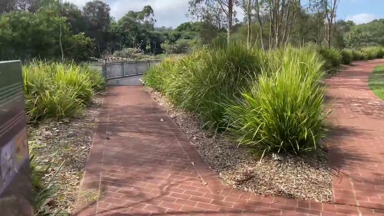 The Waterbird habitat, Toowoomba, Australia