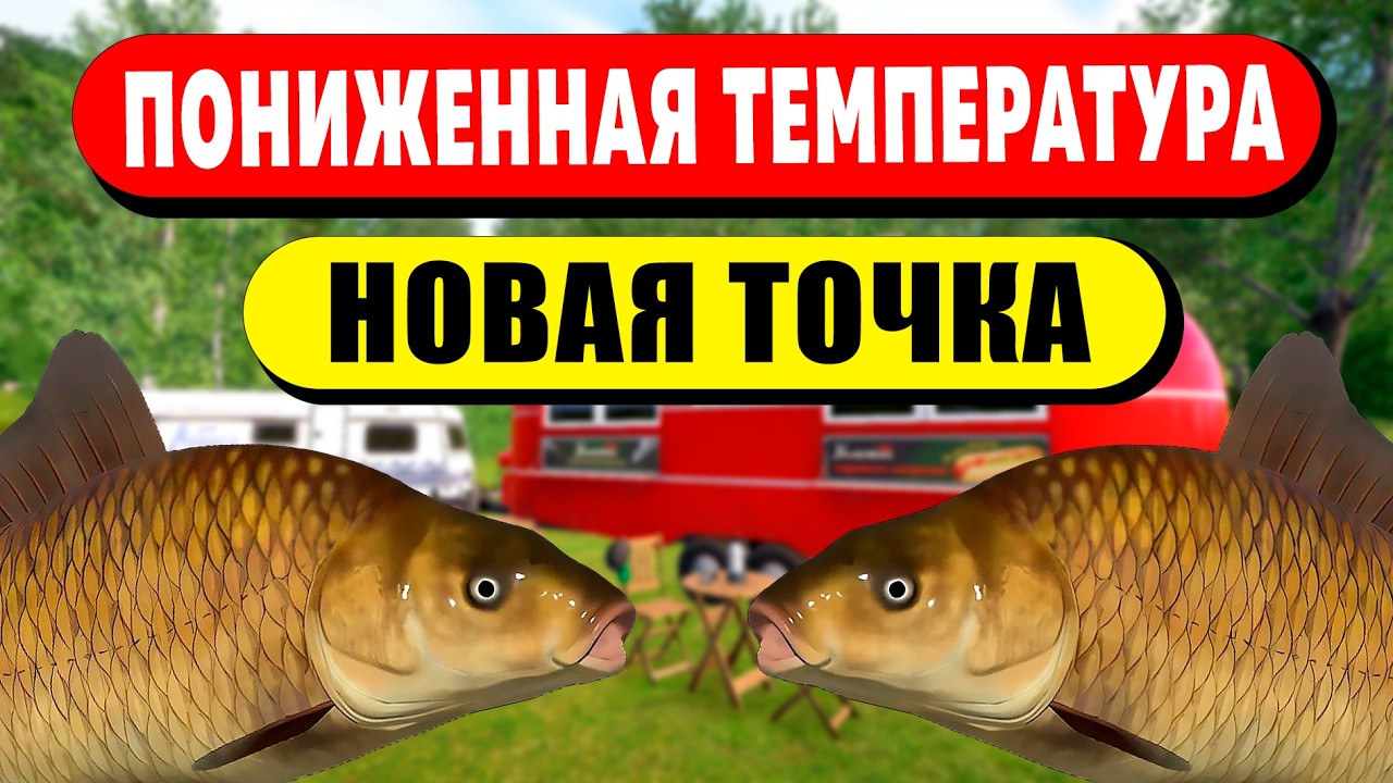 НОВАЯ ТОЧКА ФАРМА БЕЗ МУСОРА НА МЕДНОМ ОЗЕРЕ В ПОНИЖЕННУЮ ТЕМПЕРАТУРУ! • Русская Рыбалка 4 РР4