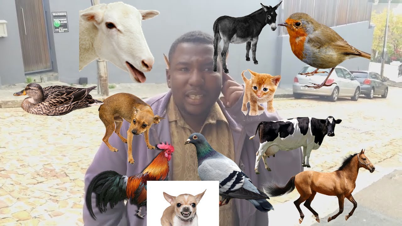 12 Animal Sound Man  | Imitates 12 Animals | This man is incredible