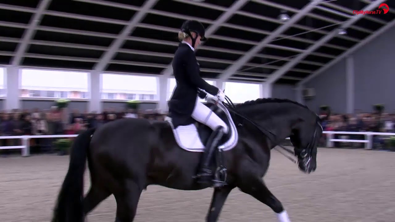 Fürsten Look åbent hus HPhorses