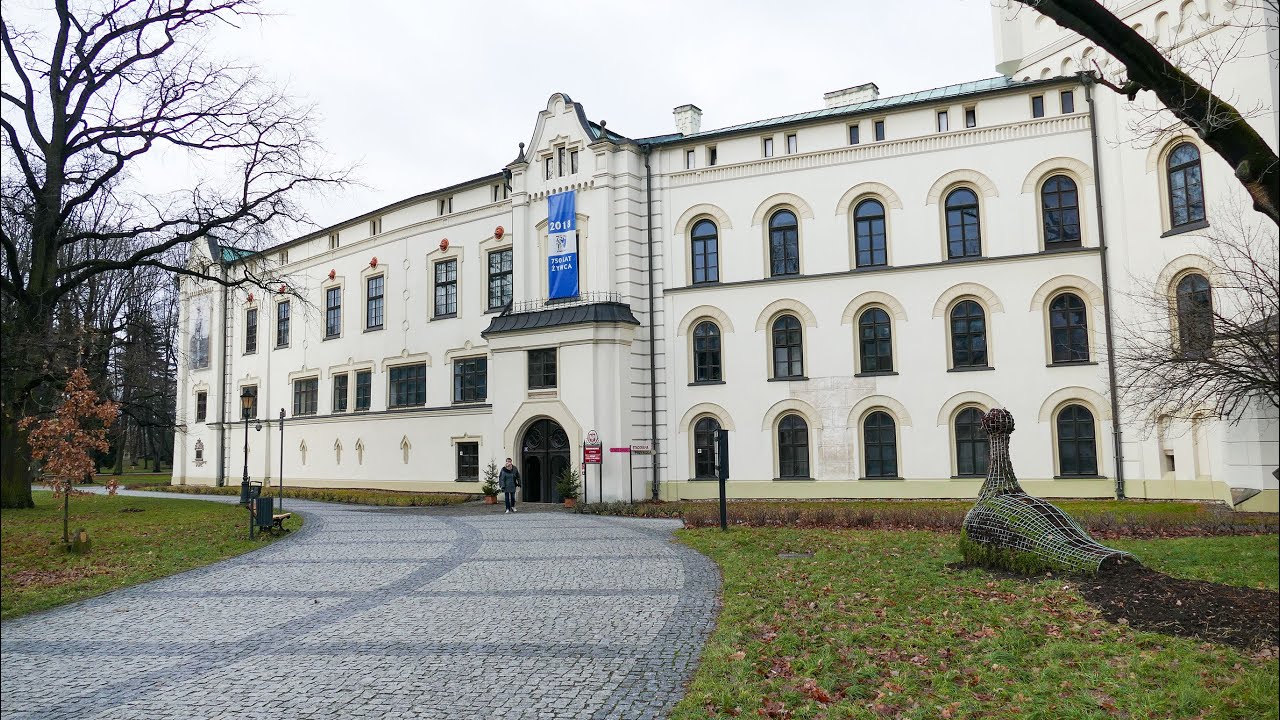 Stary Zamek zdjęcia
