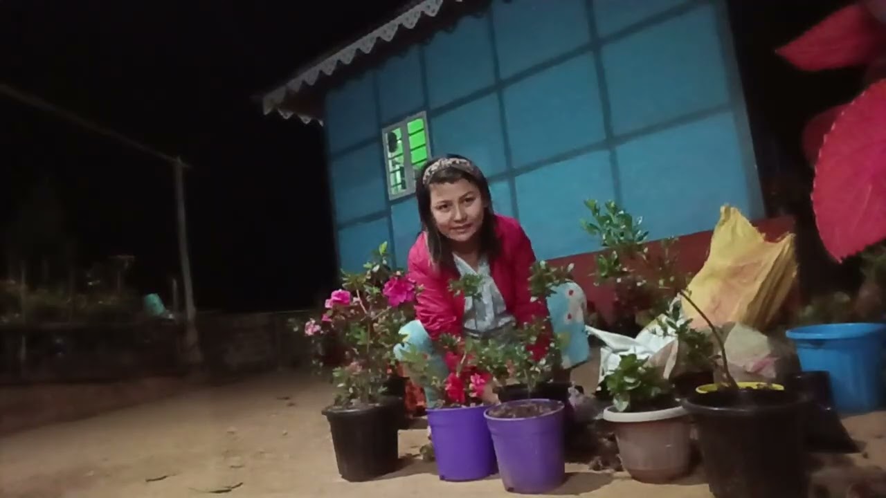 Informative vedio #foryou In englia, the original soil is changed. 