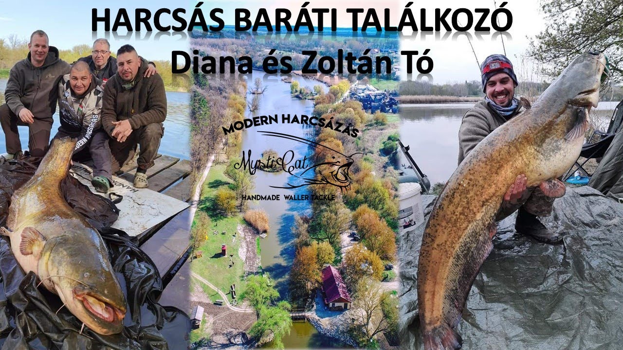 Harcsahorgászat és Harcsás Baráti Találkozó (Mysticat Team Modern Harcsázás)