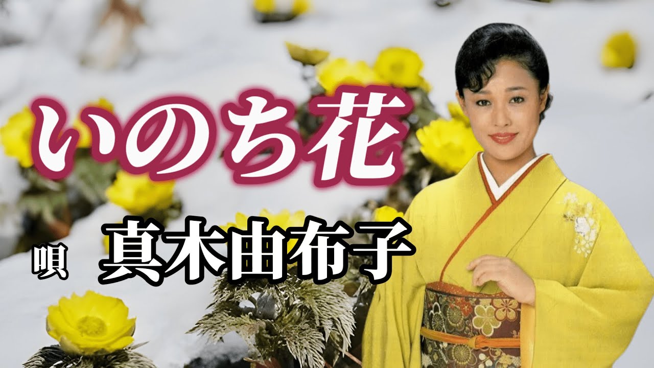 真木柚布子　「いのち花」