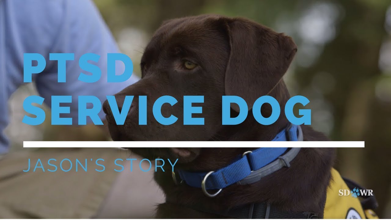 PTSD Service Dog: Jason's Story