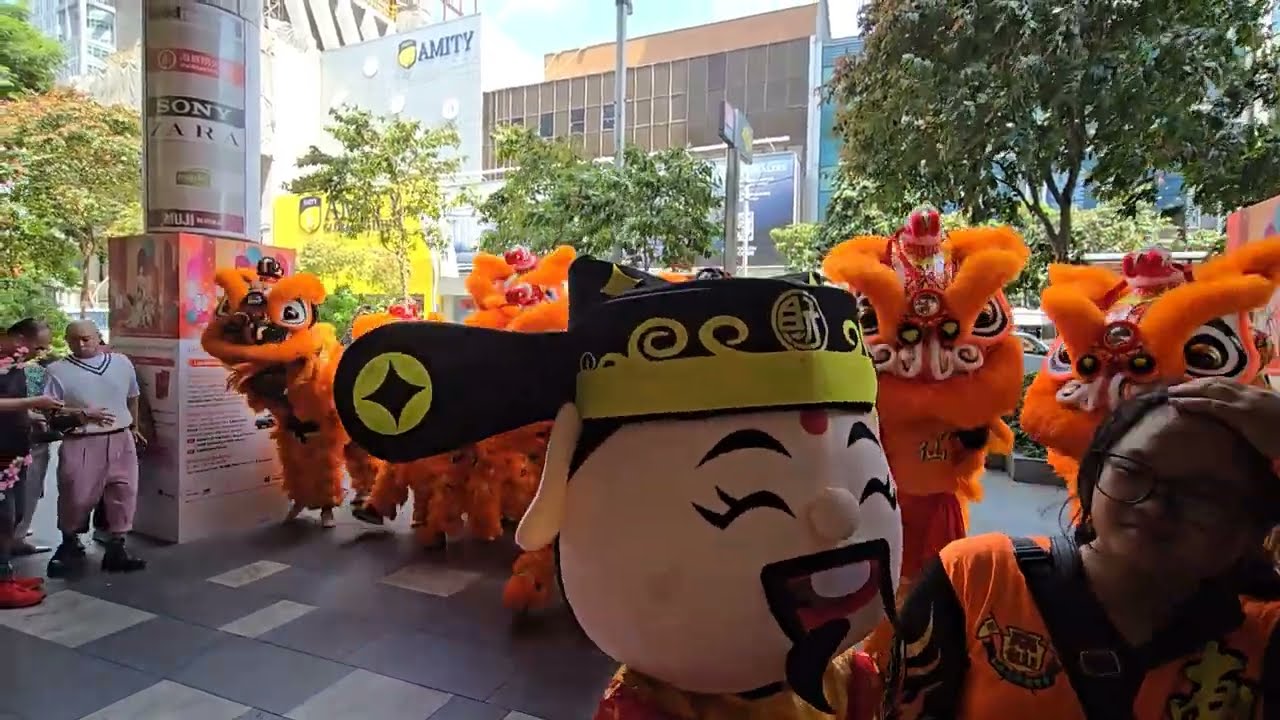 313@Somerset - War Drums | Lion Dance | Double Dragon Dance | Lion on High Poles | 6 February 2025