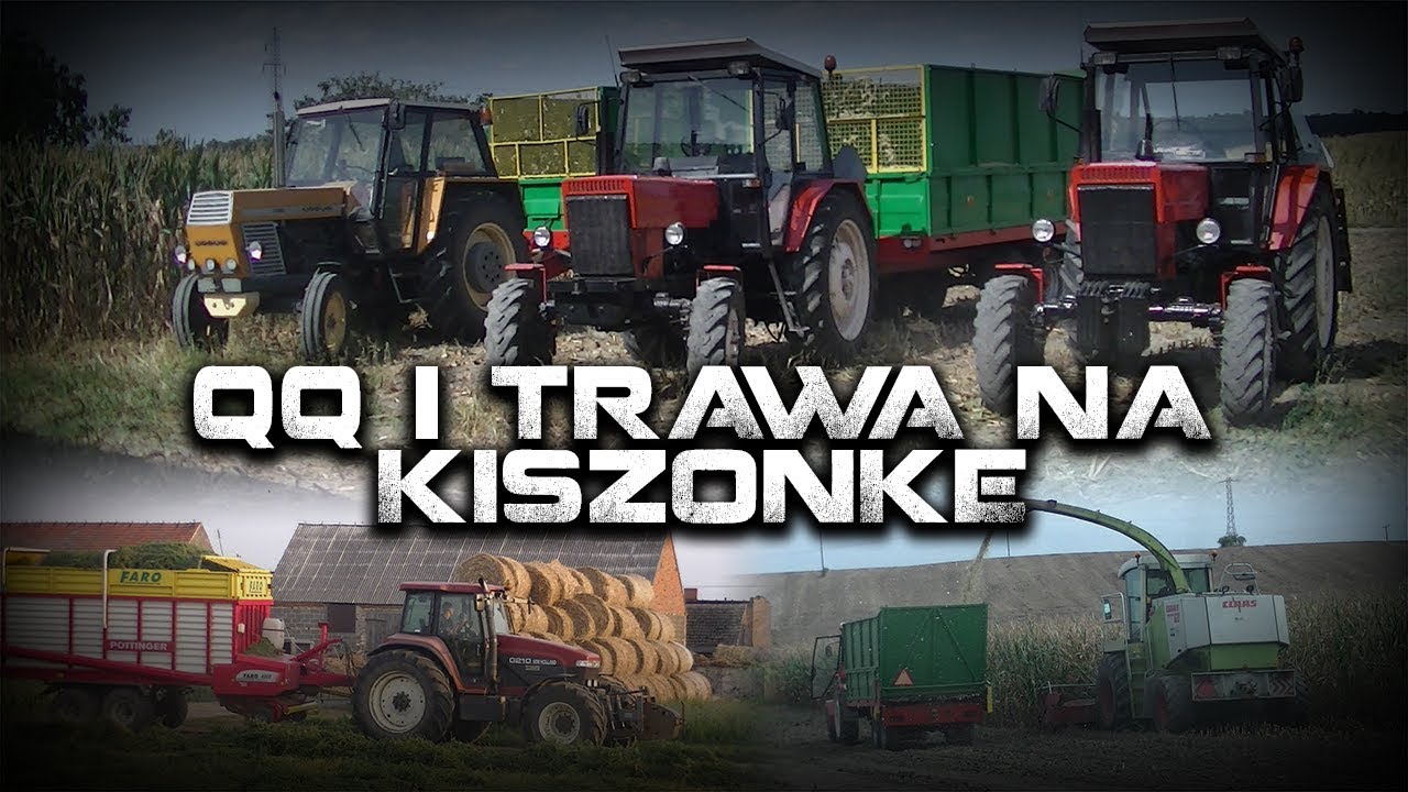 QQ i trawa na kiszonke 2018!
