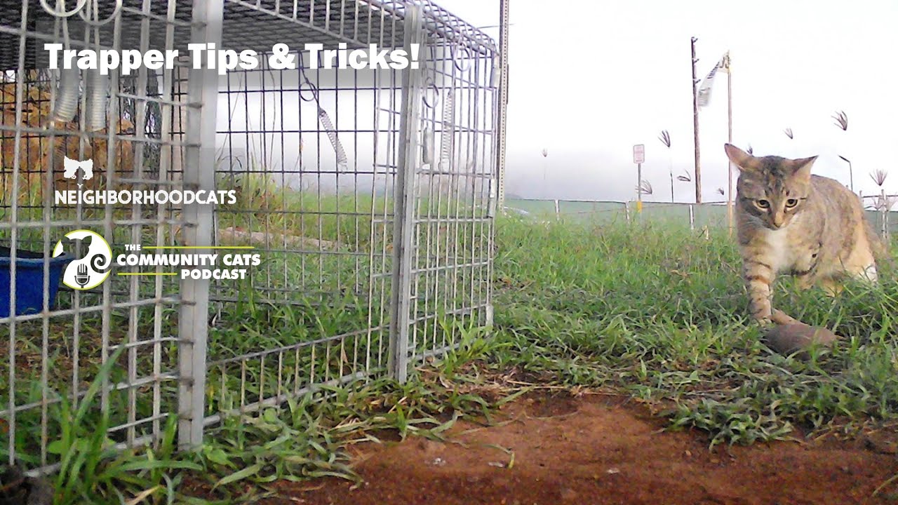 Trapper's Tips & Tricks Presented by Neighborhood Cats