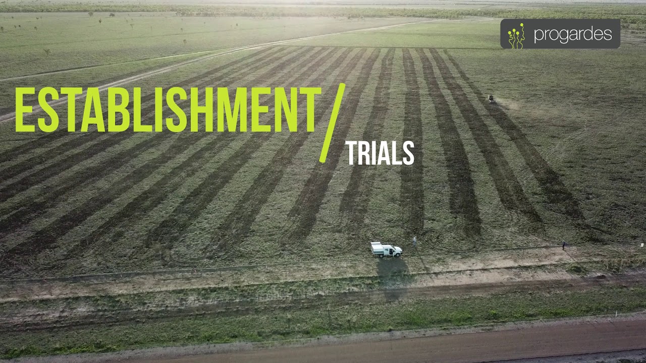 Progardes&reg; Desmanthus  Pasture Legume establishment trials