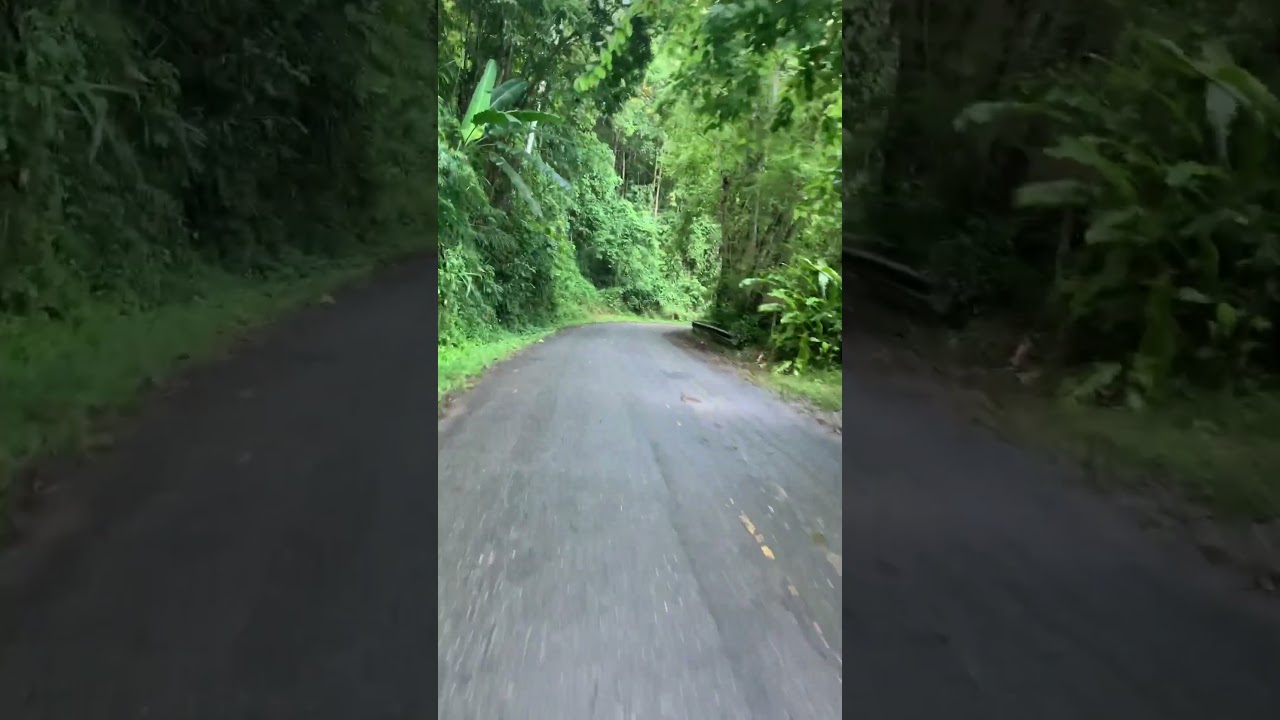 เส้นทางอุทยานแห่งชาติลำน้ำกก Lam Nam Kok National Park Chiang Rai  #Cycling  #เส้นทางปั่นจักรยาน