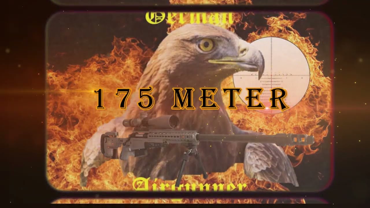 175 Meter Airgun Long Range shooting mit Altaros M24 Luftgewehr und Steiner ZF.