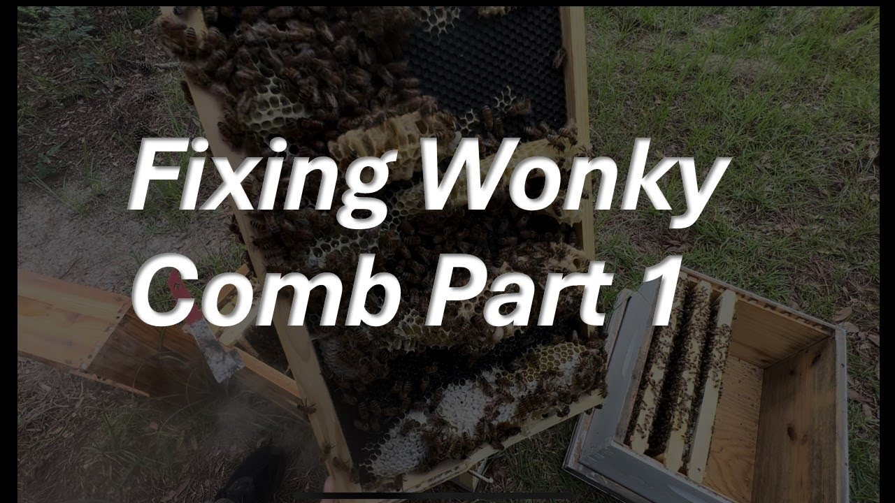 Fixing Wonky Comb Part 1 