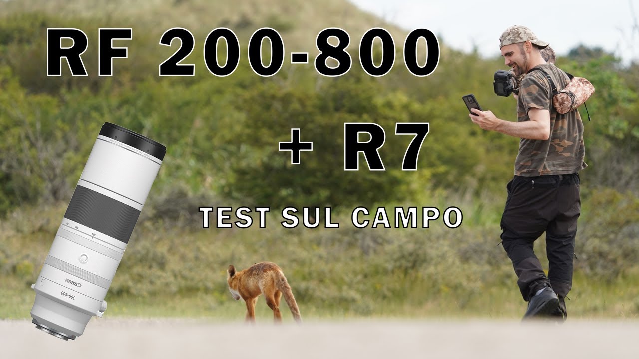 Canon RF 200-800mm & R7 Prova sul campo - Incredibile risultato