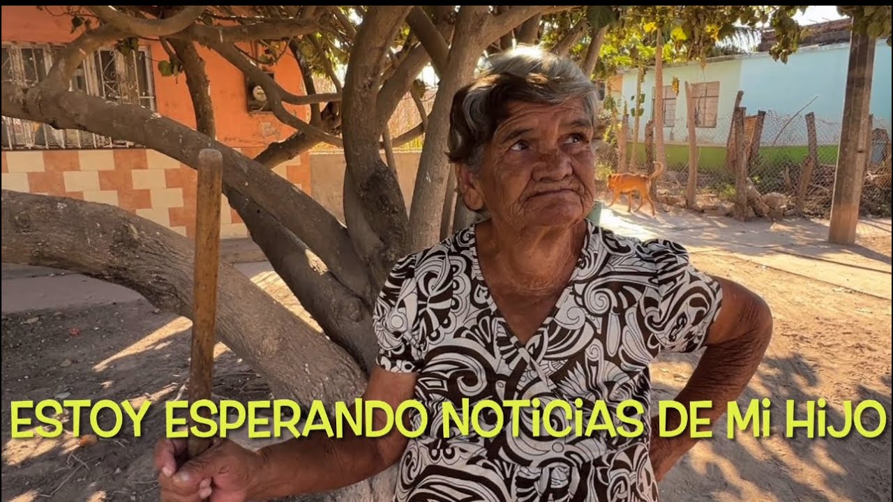 Las colonias Tuxpan Nayarit México/RosyRosy