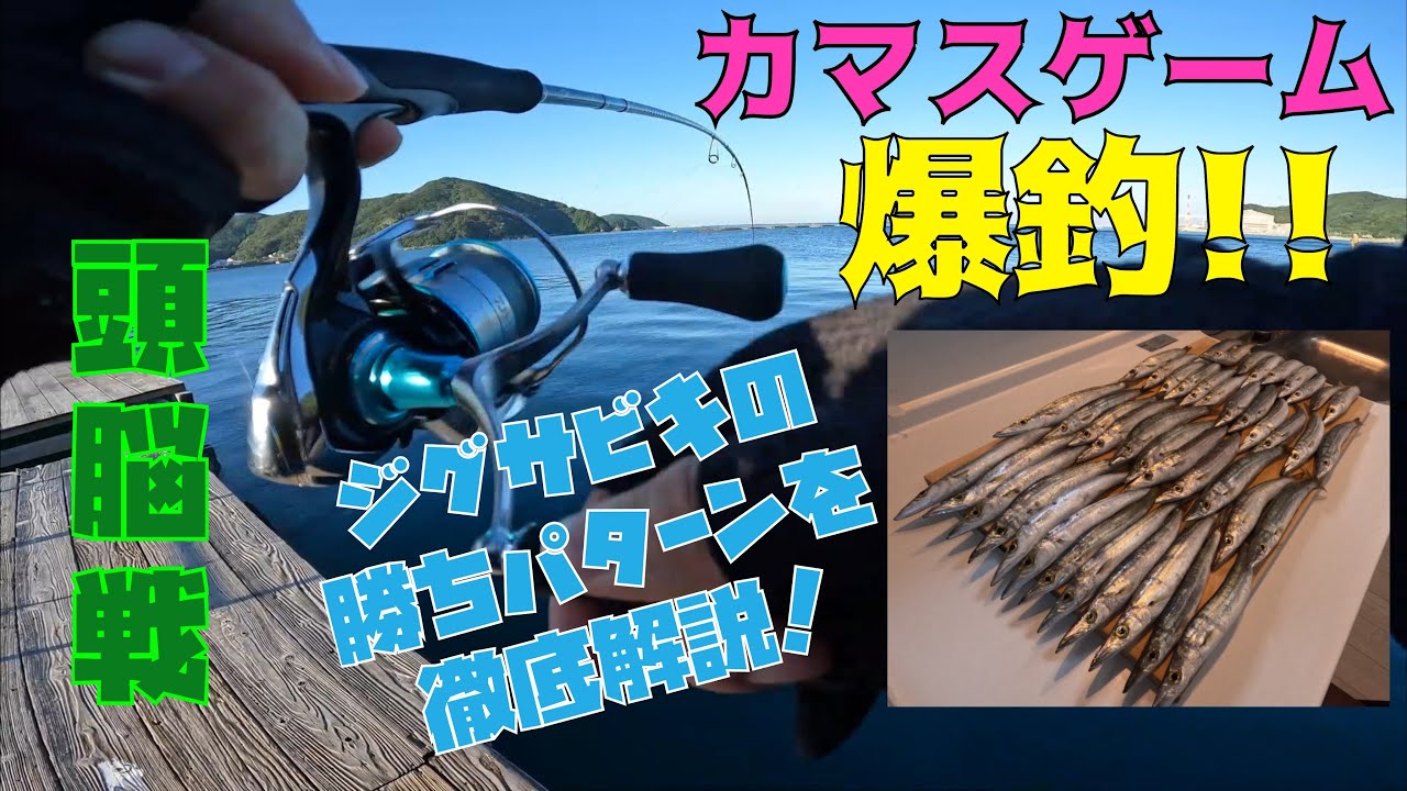 【ジグサビキ】カマス爆釣！初心者でも簡単に釣れるコツを徹底解説します♪
