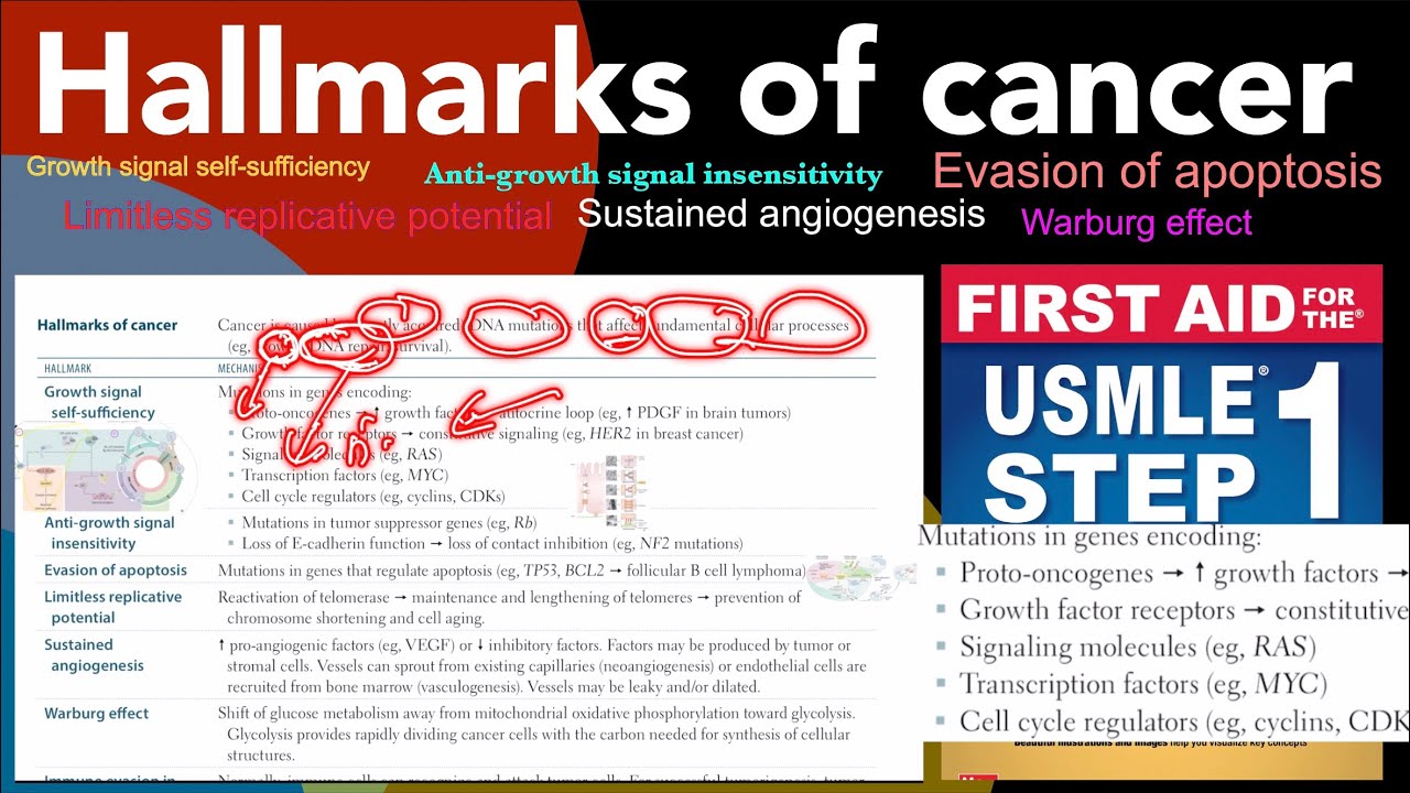 Hallmarks of cancer - Growth signal self-sufficiency in Hindi/Urdu by first aid for USMLE step 1