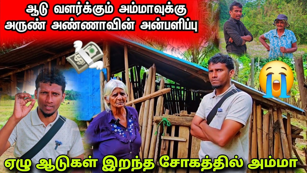 ஆடு வளர்க்கும் அம்மாவை தேடிச்சென்று நான் கொடுத்த இன்ப அதிர்ச்சி @Spseelanvlogs126 