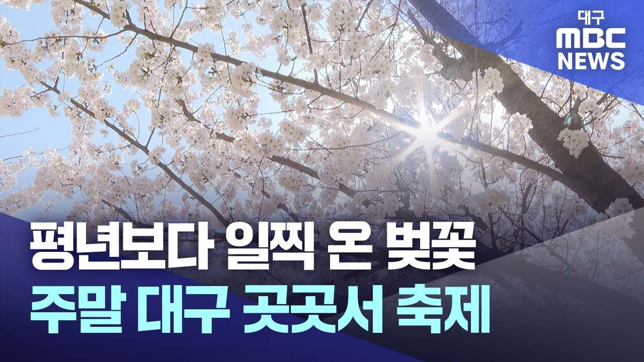 평년보다 일찍 온 벚꽃&middot;&middot;&middot;주말 대구 곳곳서 축제 | 대구MBC뉴스