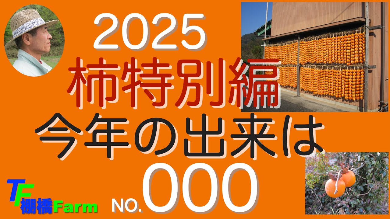 一人で農業柿特別編000　今年の柿の出来具合を報告
