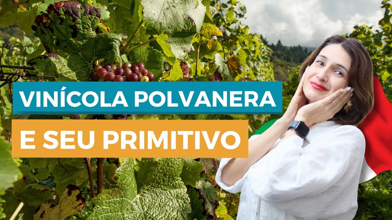 [IMPERDÍVEL] VINÍCOLA NA PUGLIA: CONHEÇA A VINÍCOLA POLVANERA E SEU VINHO PRIMITIVO GIOIA DEL COLLE!