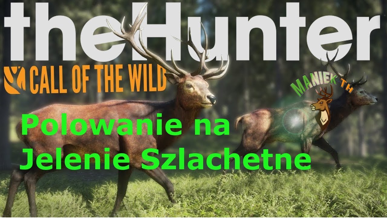 Polowanie na Jelenie Szlachetne