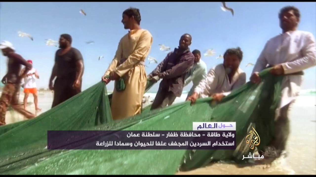 سلطنة عمان - موسم 
