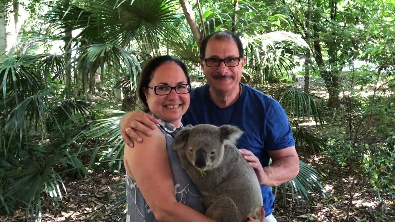 Koala Sanctuary - Auistralia