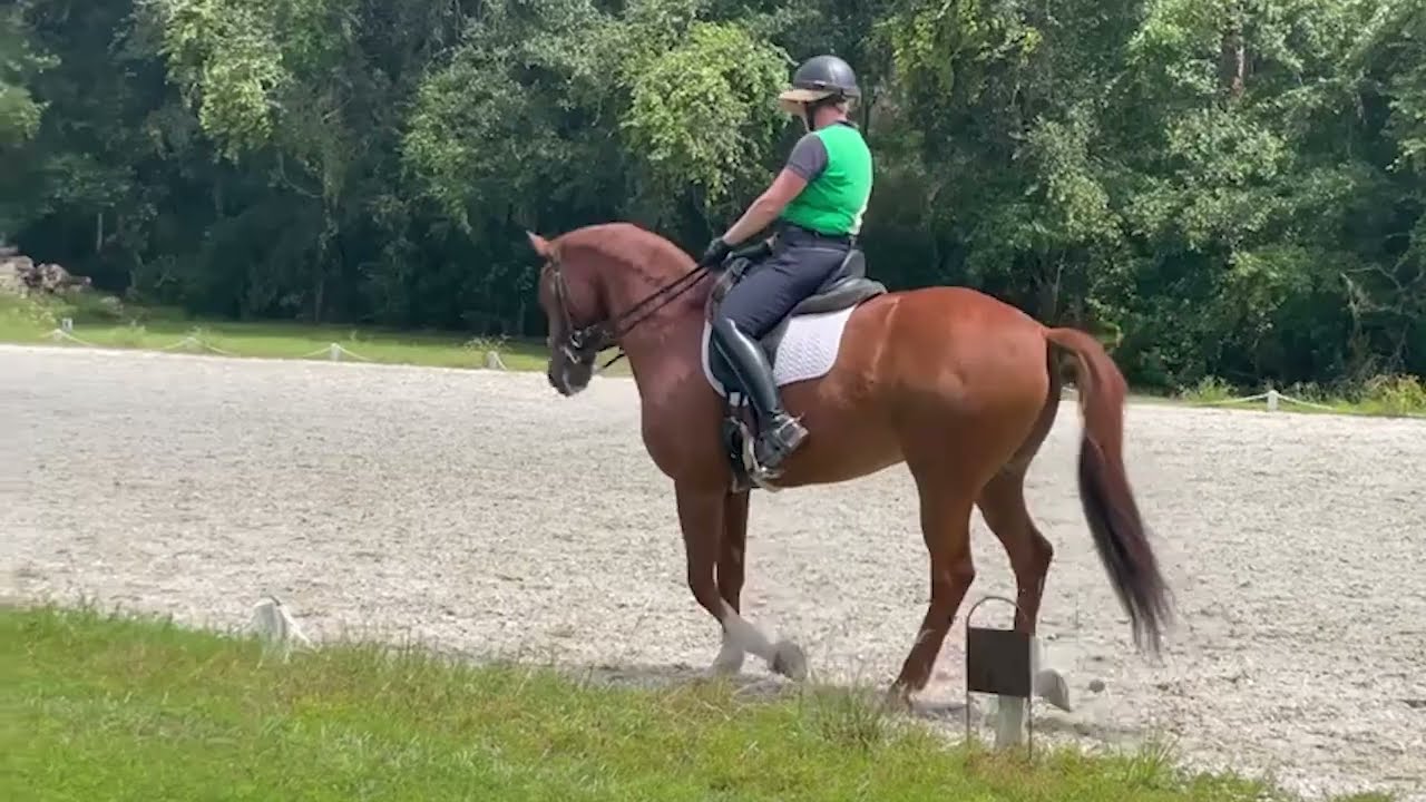 Stephanie Pair - Harry Potter Freestyle