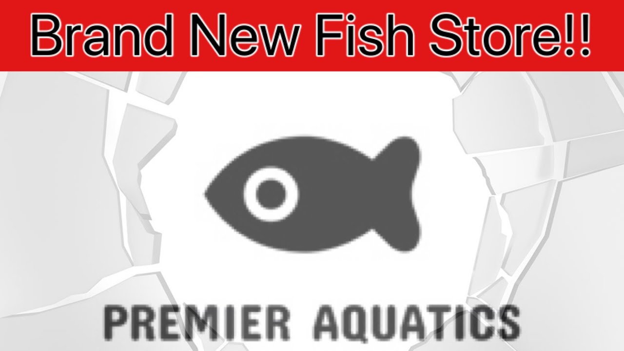 Brand New Fish Store! Premier Aquatics. U.K. Fish store tour! Ep.6