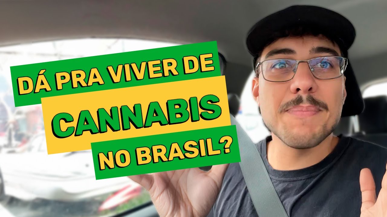 Como Come&ccedil;ar a Empreender no Mercado Can&aacute;bico (sem cair na ilegalidade)