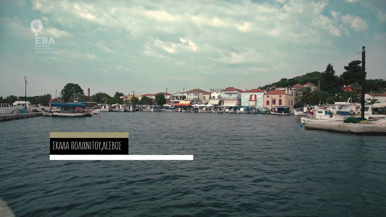 Lesvos Insider Place #08: Σκάλα Πολιχνίτου / Skala Polichnitou