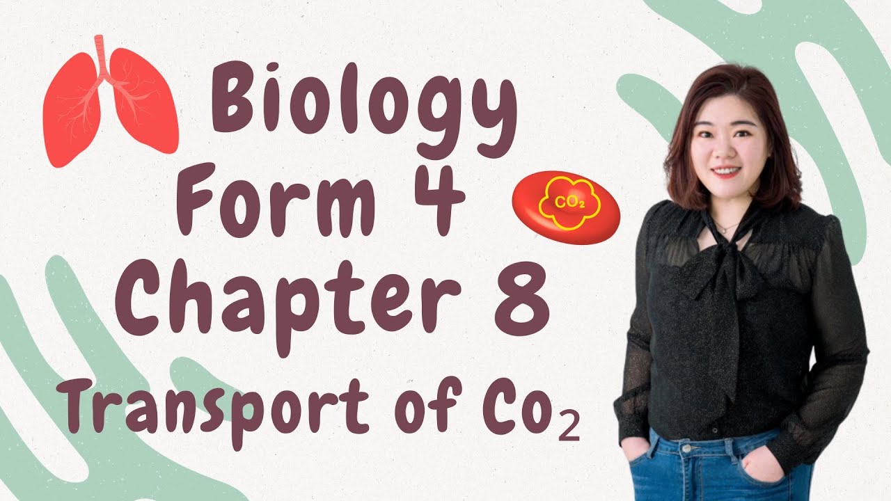 【中文讲解】KSSM Form 4 Biology Chapter 8 Transport of Carbon Dioxide