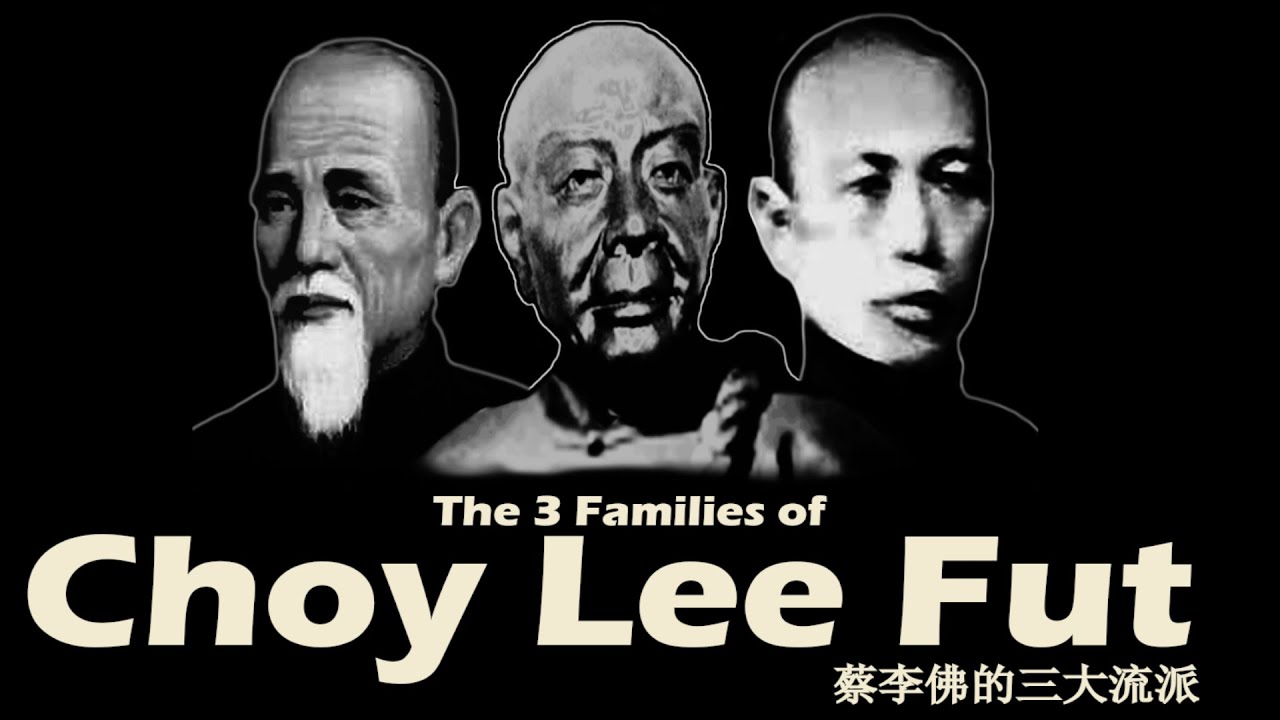 The 3 Families of Choy Lee Fut