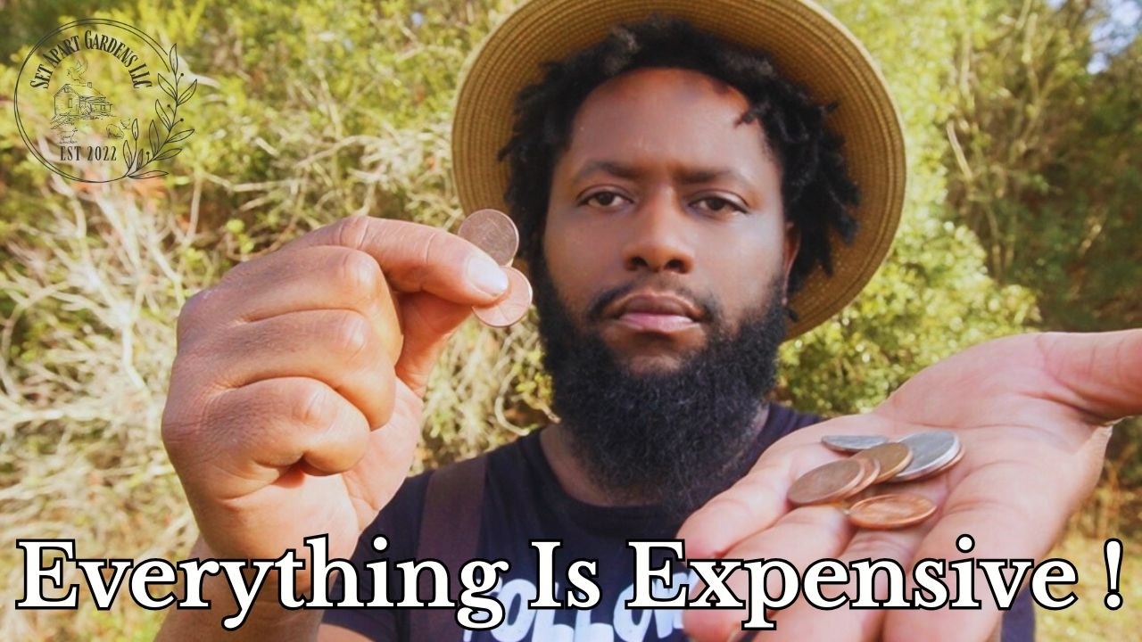 Перестаньте винить себя! Эта экономика слишком уж дорогая.