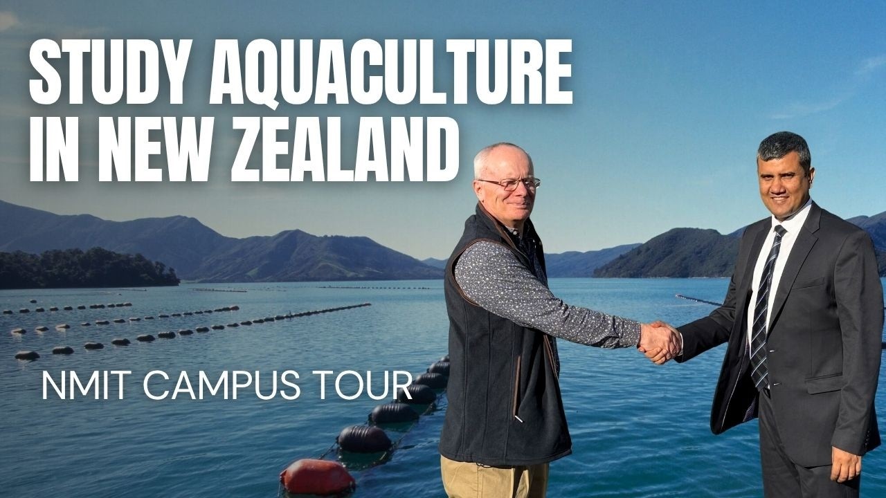 Learn Aquaculture At NMIT New Zealand | Study in New Zealand | Fish Framing In New Zealand
